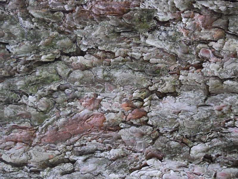 Local stone and timber used across the resort