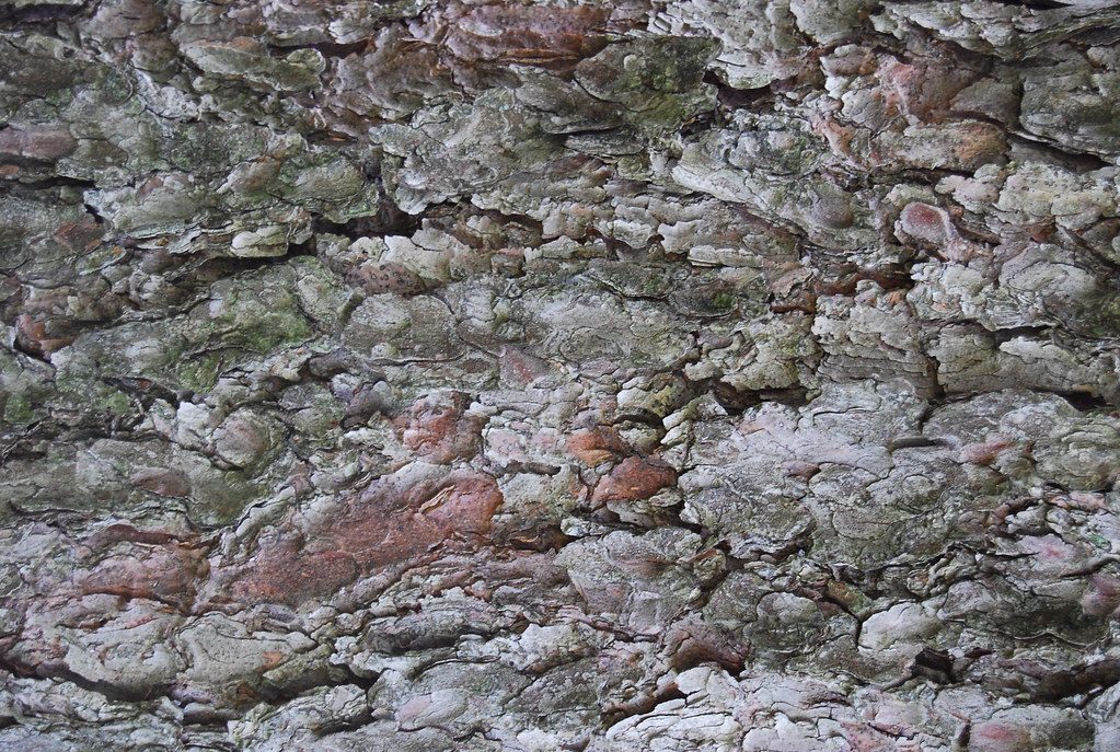 Local stone and timber used across the resort