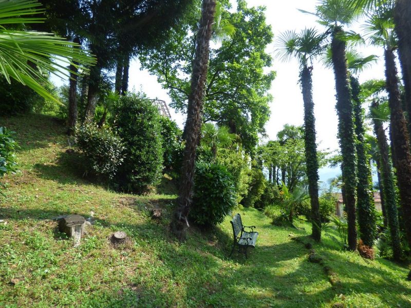 Palm Grove Twin Villa under old palms with two equal bedrooms